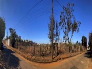 Area em Carmo do Paranaíba (MG)