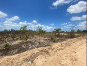Lote em Horizonte (CE)