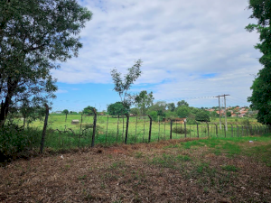 Chácara/Sítio, Rural, Conjunto Habitacional Doutor José Olavo Diniz