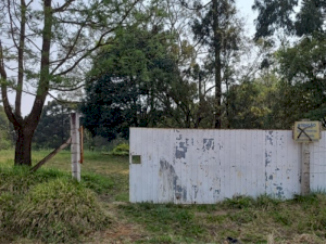 Area em Pinhão (PR)
