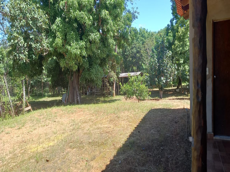 Gleba na Zona Rural (foto 3 de 20)