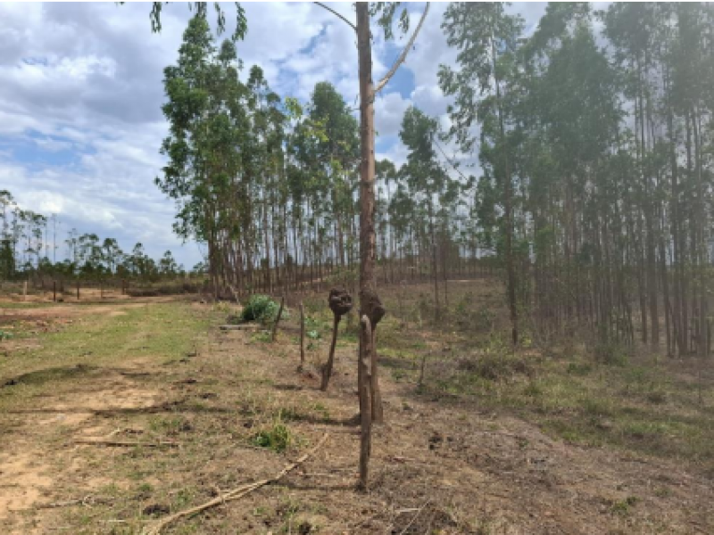 Fazenda, Rural, Distrito de Esteios