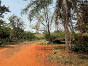Area em Paraguaçu Paulista (SP)