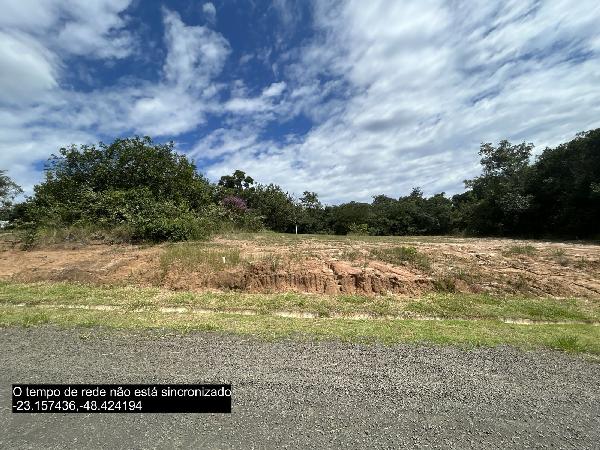 Lote, Outros, NINHO VERDE II