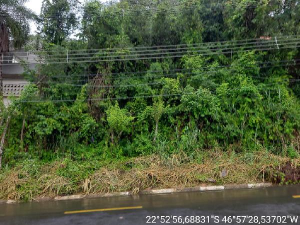 Lote, Outros, JARDIM BOTANICO (SOUSAS)