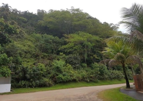 Verde Mar · Caraguatatuba, SP