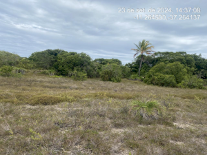 Lote, Consultar, Loteamento Vila Rica do Abais