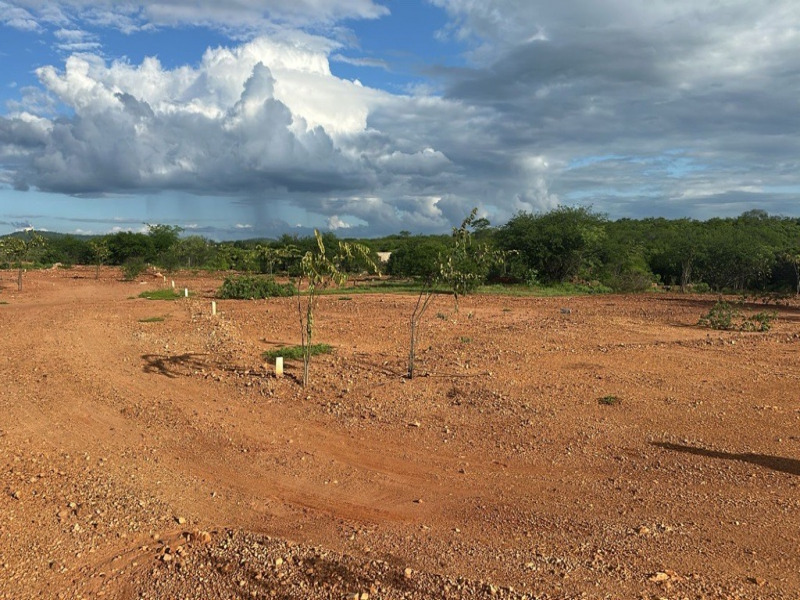 Lote, Residencial, Carnaíba Velha