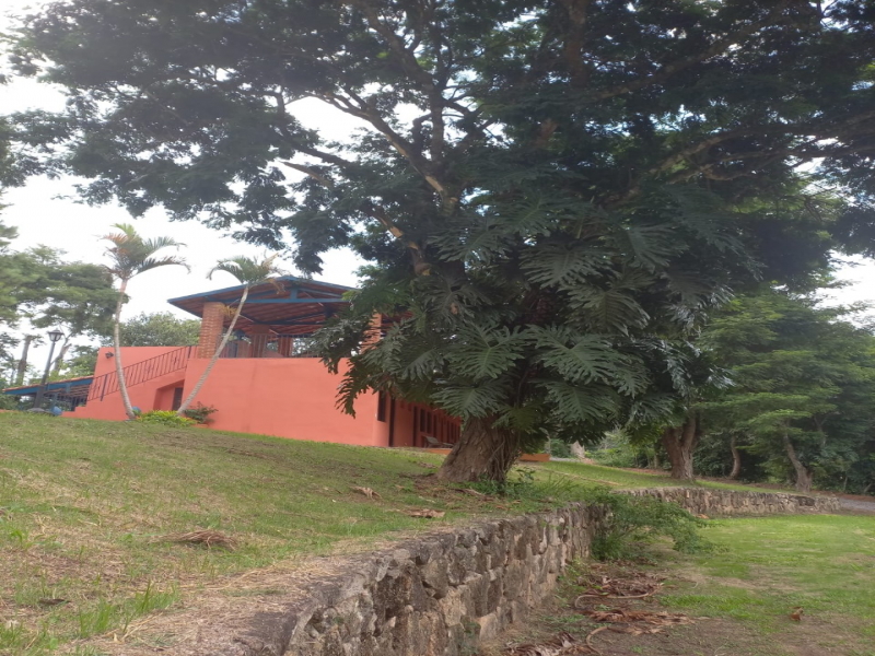 Gleba no Fazendinha (foto 24 de 35)