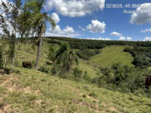 Lote, Rural, Gleba 01