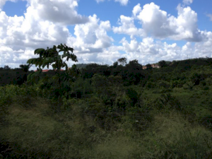 Area em Candeias (BA)