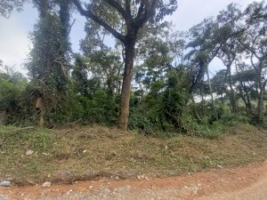 Foto do imóvel Lote, Residencial
