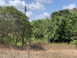 Lote, Residencial