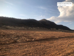 Lote, Consultar, São Geraldo