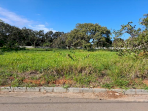 Lote em Condomínio, Residencial, CondomÍnio Monte Verde