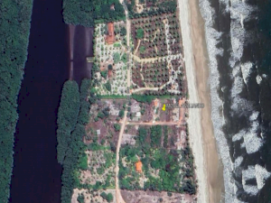 Area em Canavieiras (BA)