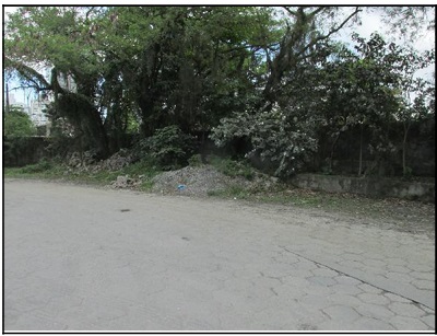 Lote, Outros, EMBARE
