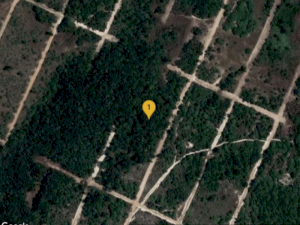 a6f74563-b8d9-482c-8526-338b5470220f