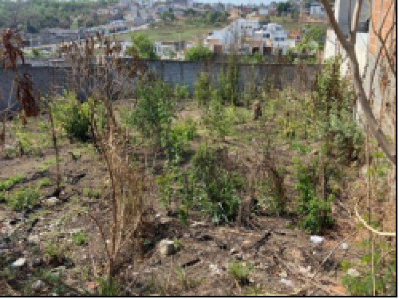 Terreno no Campina Verde (foto 5 de 5)