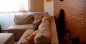 Apartamento Condomínio, Residencial, Jardim Brasil (Zona Sul), 2 dormitório(s), 1 vaga(s) de garagem
