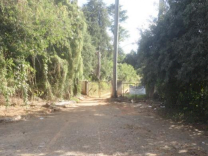 Lote, Rural, Trevo