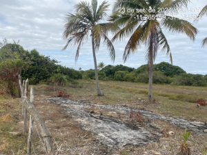 Lote, Consultar, Loteamento Vila Rica do Abais