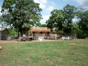 Fazenda em São Francisco (MG)