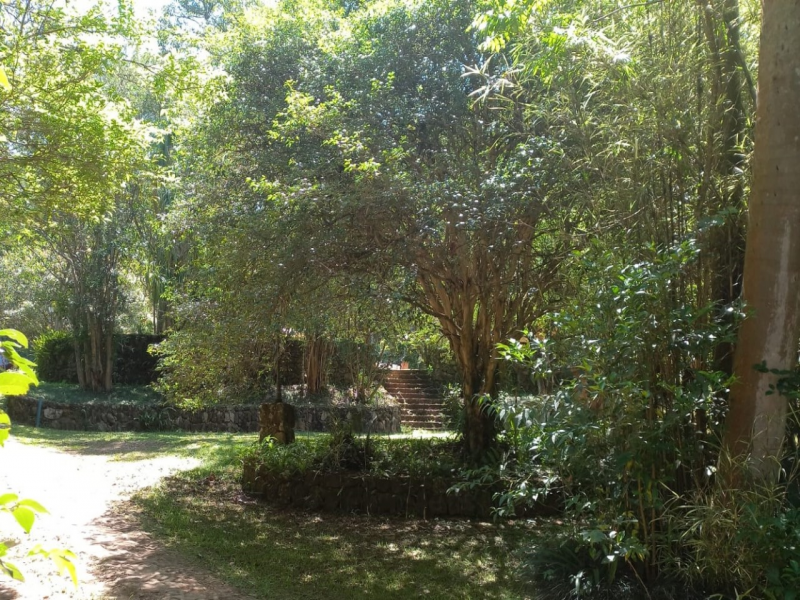 Gleba no Fazendinha (foto 18 de 35)