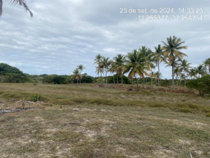 Lote, Consultar, Loteamento Vila Rica do Abais