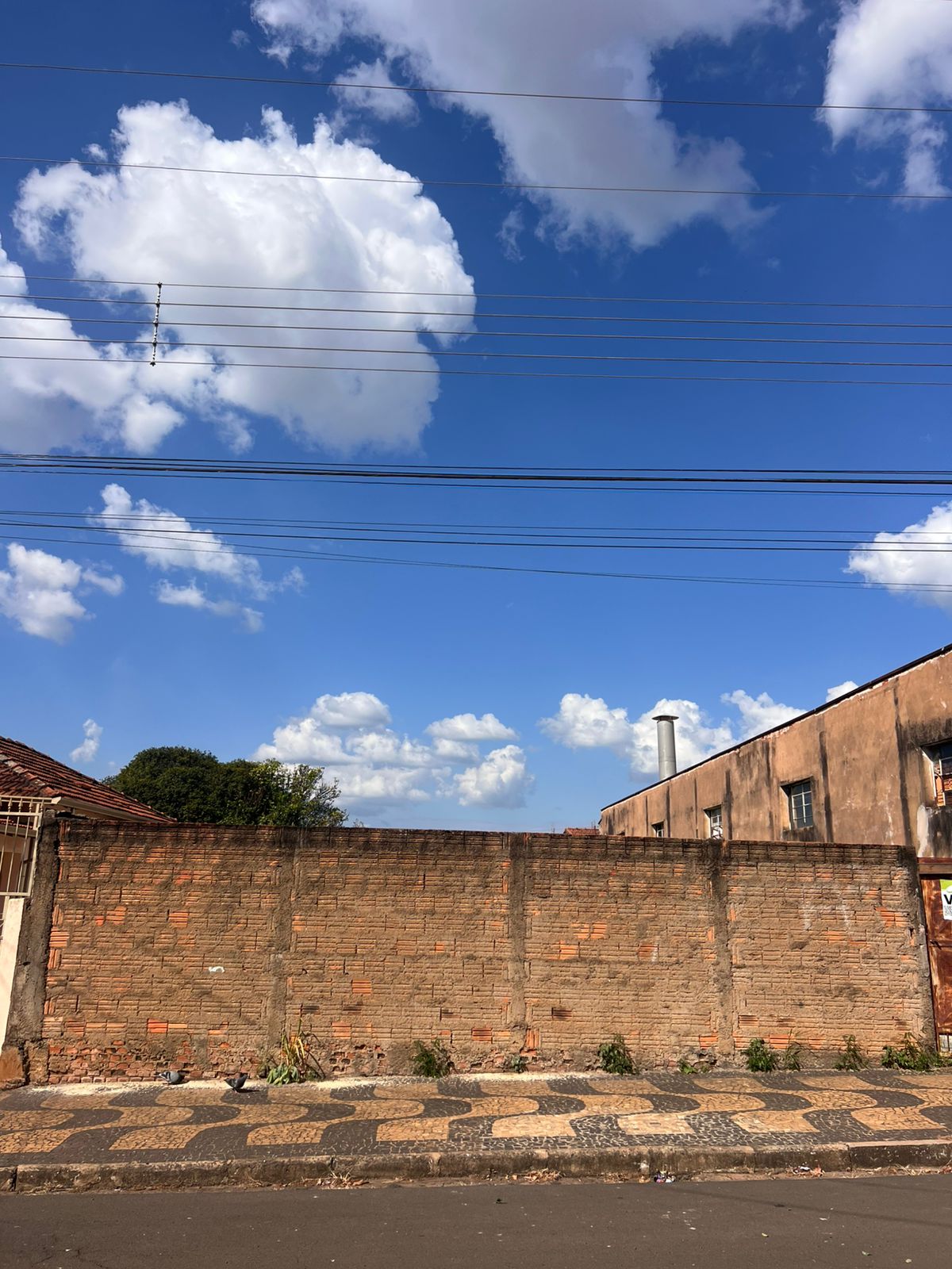 Jardim Primavera · Porto Ferreira, SP