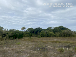 Lote, Consultar, Loteamento Vila Rica do Abais
