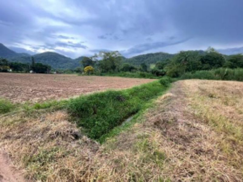 Terreno no Testo Rega (foto 8 de 14)