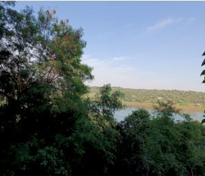 Lote em Foz do Iguaçu (PR)