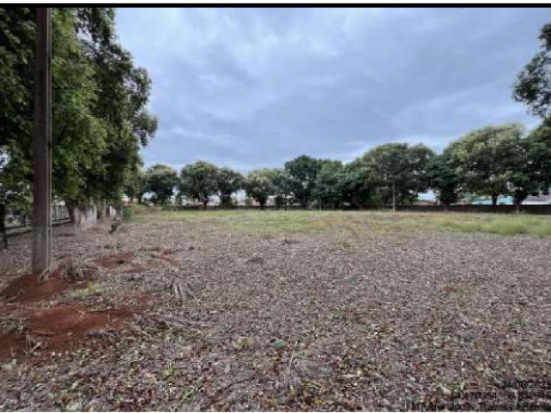 Terreno no Primavera (foto 18 de 20)