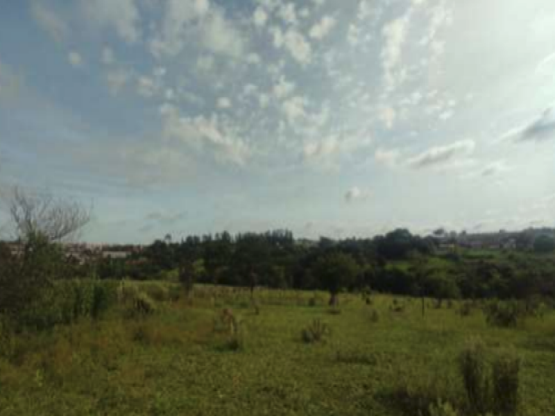 Jardim Alpino · Catanduva, SP