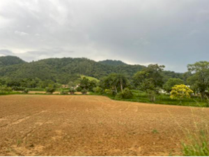 Lote em Pomerode (SC)