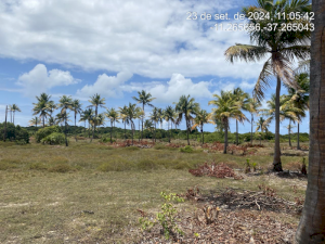Lote, Consultar, Loteamento Vila Rica do Abais