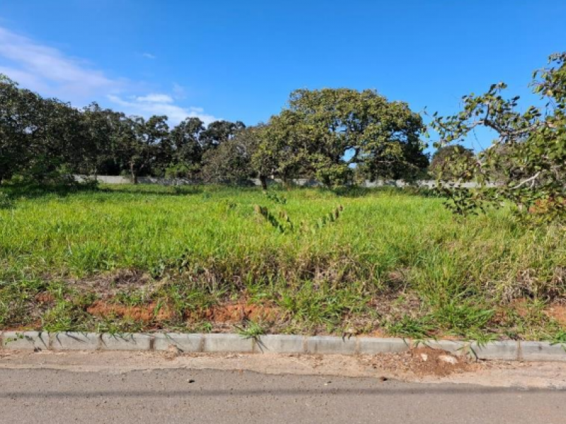 Lote em Condomínio, Residencial, CondomÍnio Monte Verde