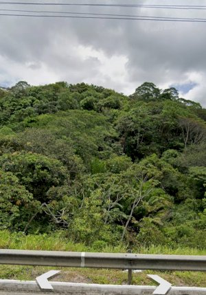 Chácara/Sítio em São Lourenço da Mata (PE)
