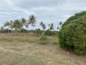 Lote, Consultar, Loteamento Vila Rica do Abais