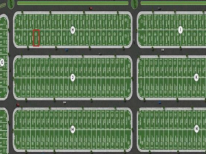 Lote, Residencial, Jardim Botânico I