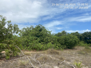 Lote, Consultar, Loteamento Vila Rica do Abais
