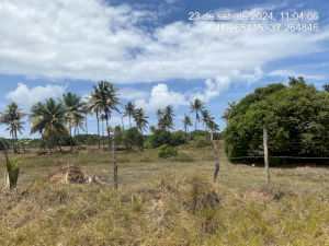 Lote, Consultar, Loteamento Vila Rica do Abais