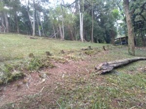 Foto do imóvel Lote em Condomínio, Residencial