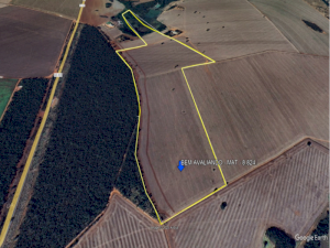 Lote em Edéia (GO)