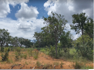 Lote, Residencial, Garden Ville