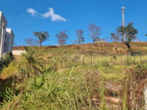 Área, Rural, Jardim de Alá