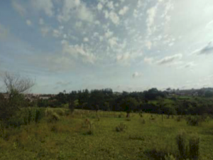 Lote em Catanduva (SP)