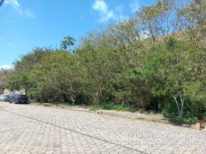 Outros, Outros, LOTEAMENTO BALNEARIO CAMBURI