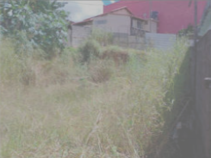 Terreno em Perizes (foto 6 de 6)